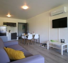 Domaine de Janus - Living room with air conditioning